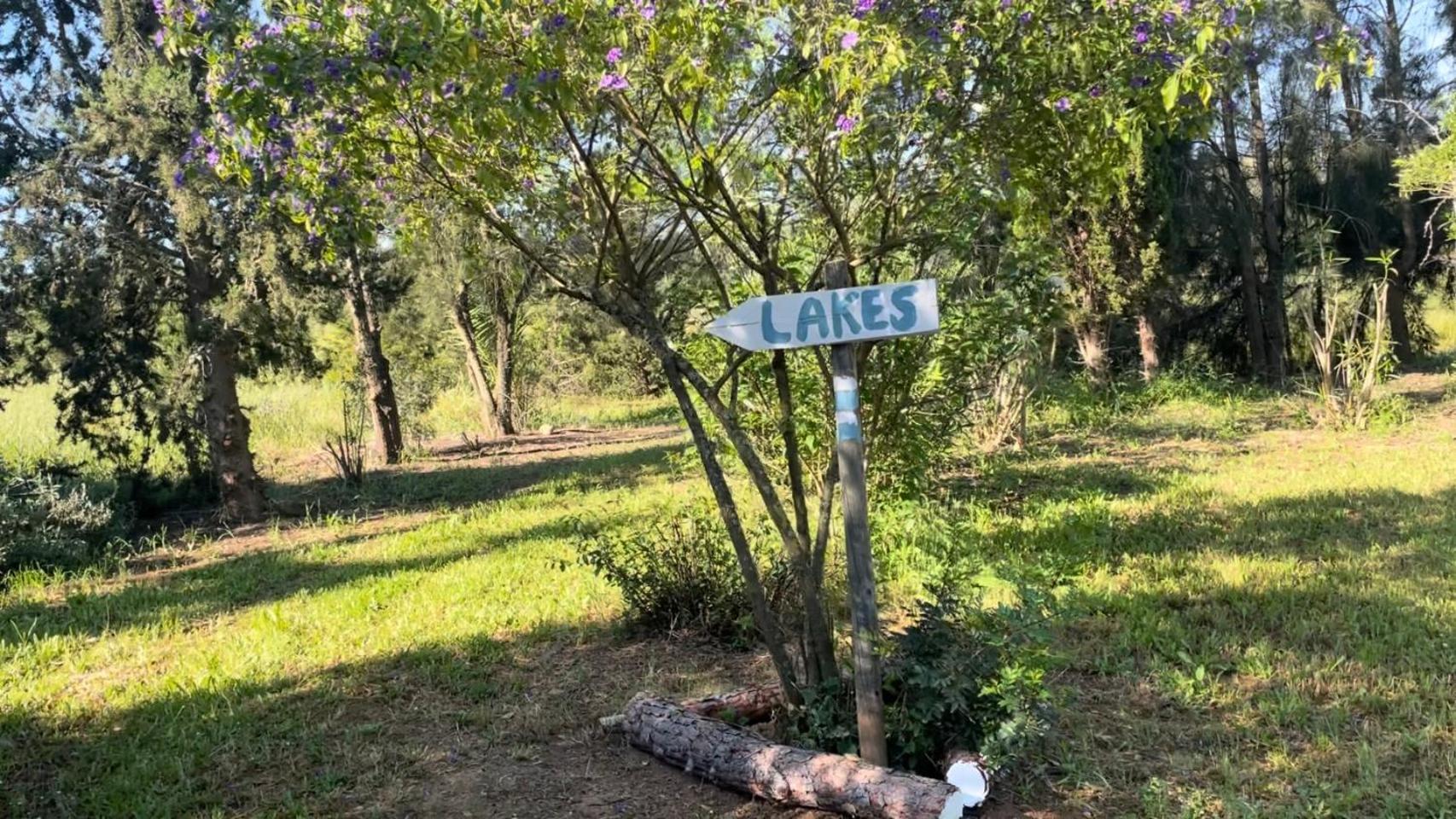 Вилла Sesmarias Dos Nobres Azinheira dos Barros Экстерьер фото